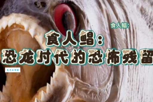 想知道食人鲳的天敌吗？这些动物能制服它