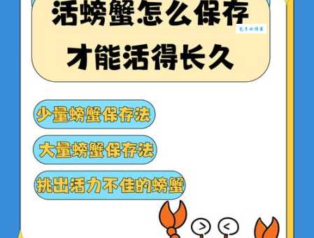 活螃蟹第二天还鲜活？教你几招保存妙招！
