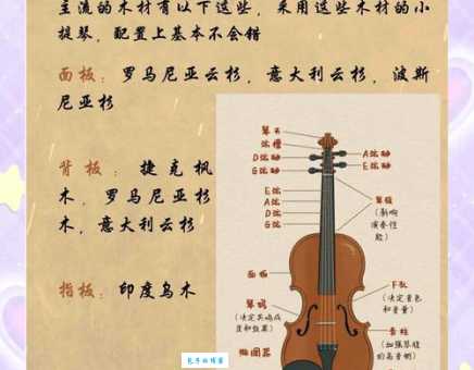 小提琴有多少根弦？带你了解小提琴的弦数和特点
