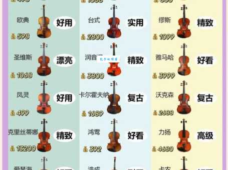 小提琴有多少根弦？带你了解小提琴的弦数和特点