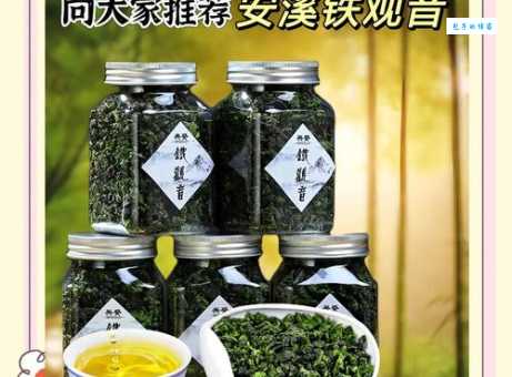福建安溪：铁观音的发源地，千年茶乡的传奇故事