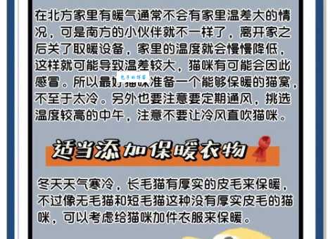 北方人的猫冬是指什么？躲在家不出门的过冬方式详解