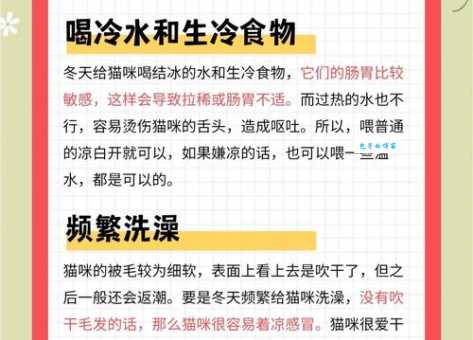 北方人的猫冬是指什么？躲在家不出门的过冬方式详解