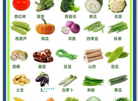 解读无公害蔬菜与绿色蔬菜的区别，教你如何挑选健康蔬菜！