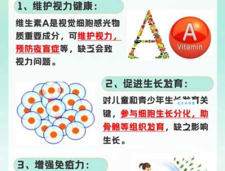保持健康活力：人体不可缺少的营养全解析