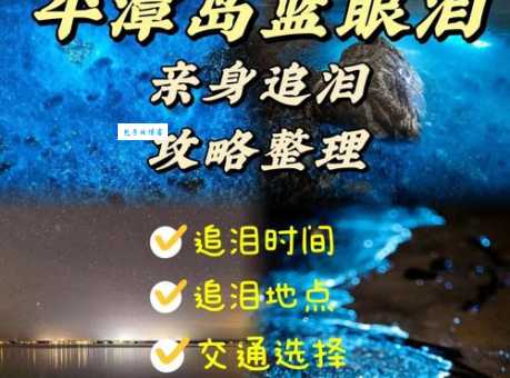 梦幻蓝眼泪是什么生物？海洋奇观背后的科学解释和观赏指南