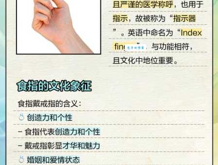 为什么叫食指？揭秘食指名字的古老起源和文化意义