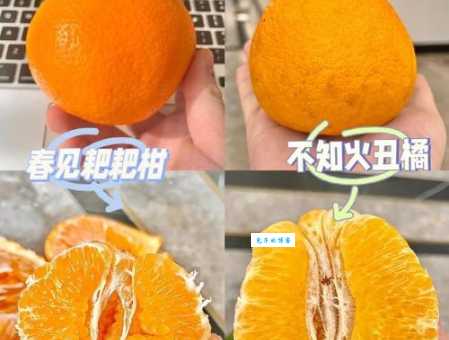 名字带“橘”却不是橘子？丑橘的秘密