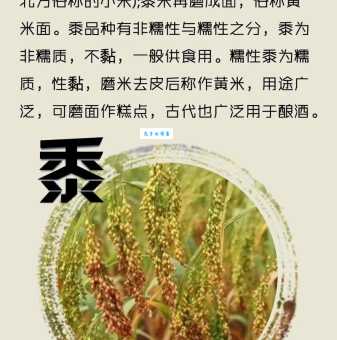 你知道“五谷不分”中的五谷有哪些吗？揭秘古代粮食文化