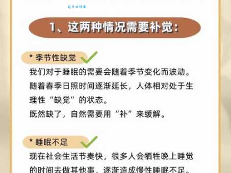 周末补觉能还上熬夜债吗？深度解析熬夜与睡眠的关系