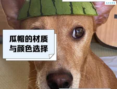 现代安全帽的奇妙设计，竟是模仿这种动物？