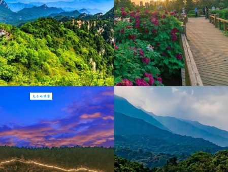 洛阳白云山风景区旅游攻略：避暑胜地，玩转中原第一峰