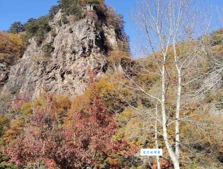 本溪洋湖沟生态游览区：原始森林，山清水秀好去处