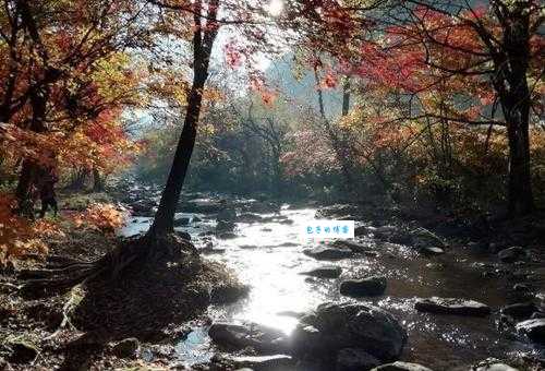 本溪洋湖沟生态游览区：原始森林，山清水秀好去处
