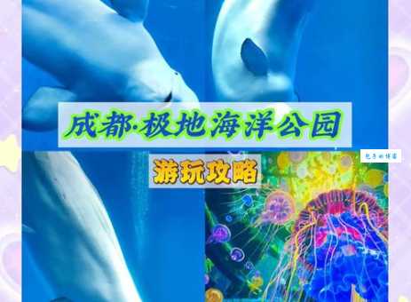 成都海洋馆一日游攻略：路线推荐及景点详解