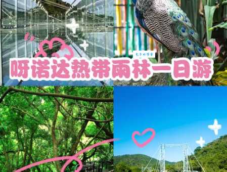 呀诺达热带雨林景区有什么好玩的？景点介绍及图片