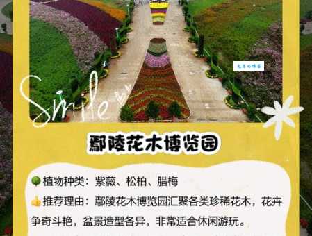 鄢陵旅游景点大全：最全攻略，带你玩转花都魅力！