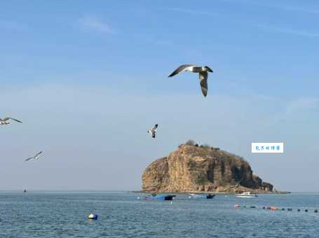 大连有哪些值得一去的地方？本地人推荐的旅游景点