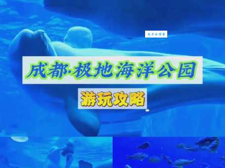 成都极地海洋世界地址在哪？交通路线及游玩攻略