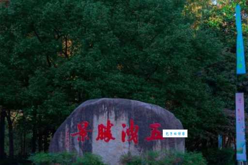 五泄风景区秋天有多美？银杏黄叶美景震撼来袭！