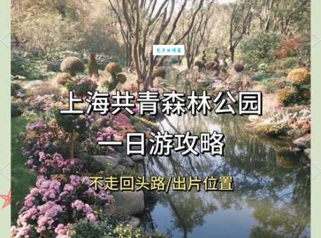 想去共青森林公园玩？这篇攻略帮你避坑！