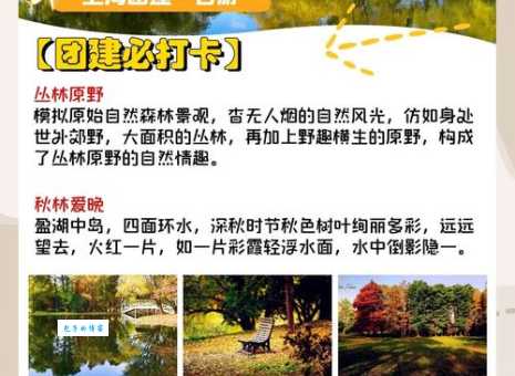 想去共青森林公园玩？这篇攻略帮你避坑！