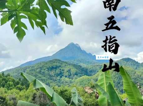 想知道五指山市的行政区域？它属于哪个省哪个市？