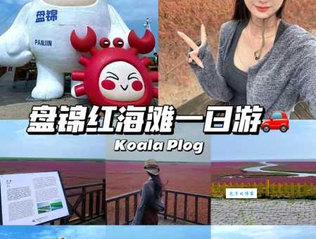 盘锦红海滩好玩吗？游客真实体验告诉你答案！