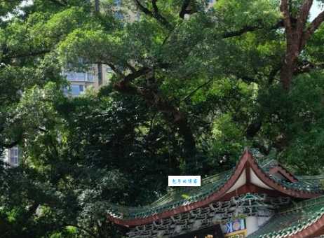福安旅游景点大全：2024福安热门景点推荐，不容错过