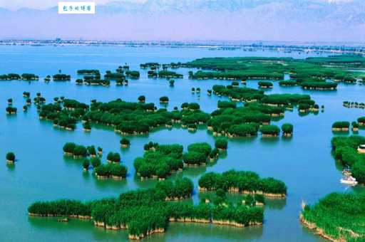 探秘石嘴山：沙湖、星海湖等景点深度游推荐