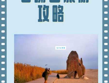 探秘石嘴山：沙湖、星海湖等景点深度游推荐