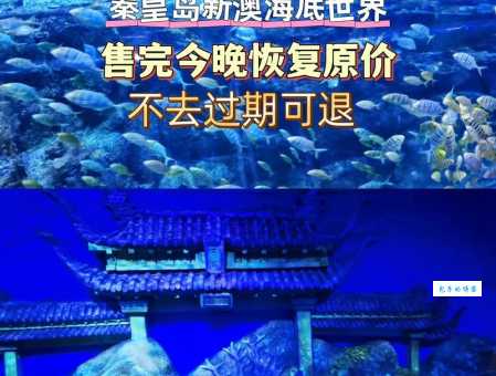 秦皇岛新奥海底世界亲子游推荐：寓教于乐的海洋探险！