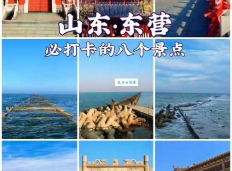 东营旅游景点大全：吃喝玩乐全攻略，解锁最美黄河三角洲