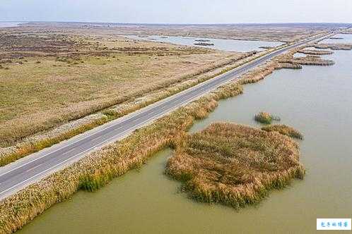 东营旅游景点大全：吃喝玩乐全攻略，解锁最美黄河三角洲