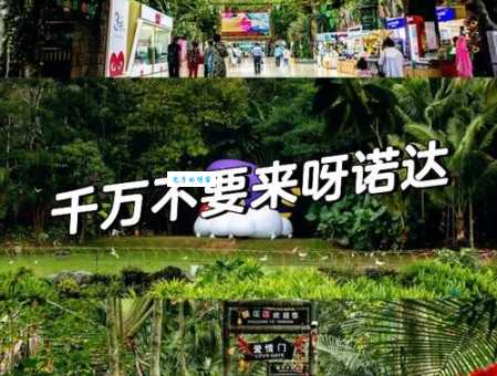 想去呀诺达热带雨林？门票信息及交通指南都在这里