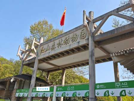 红山森林动物园：不一样的动物园体验，拒绝动物表演！