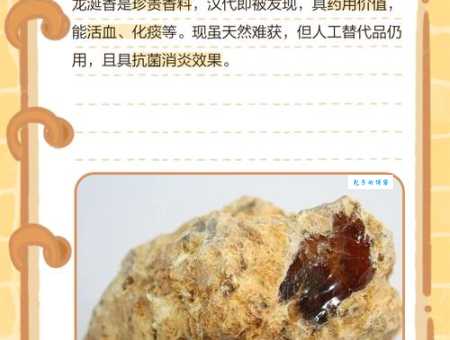 龙涎香是什么东西 它的独特香味和功效你知道吗