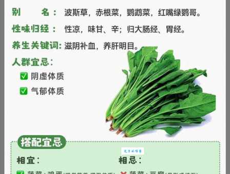 菠菜的功效与作用揭秘菠菜的6种惊人营养价值
