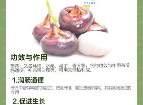 马蹄是马的什么部位 揭秘马蹄的作用与结构