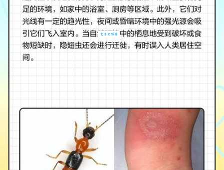 隐翅虫主要分布在哪里教你快速识别栖息地