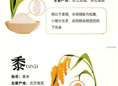 菽在五谷中指什么 这种常见豆类你天天吃
