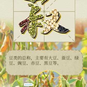 菽在五谷中指什么 这种常见豆类你天天吃
