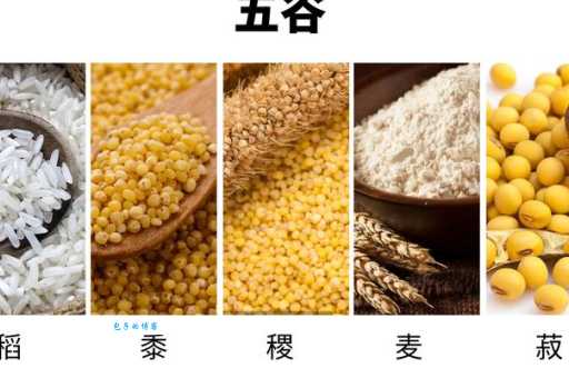五谷中的菽是指什么作物 菽类作物有哪些常见种类