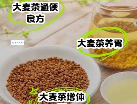 大麦茶的功效与作用全知道 简单冲泡就能养生