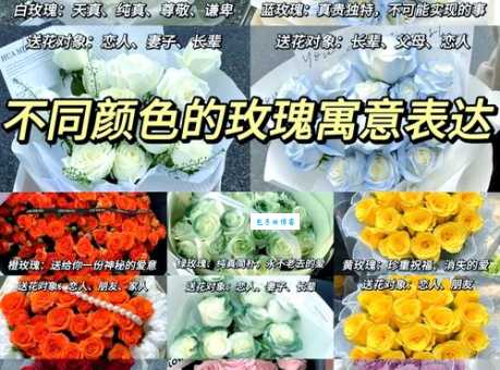 白玫瑰花语全知道 为什么说它是婚礼必备的浪漫之花