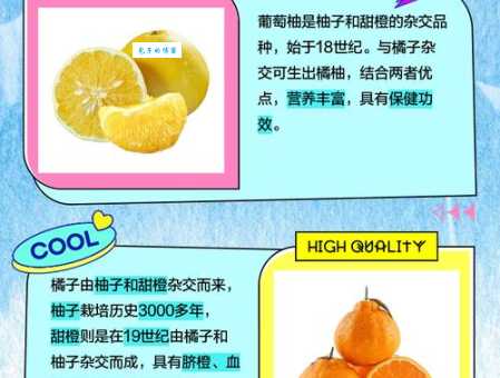 葡萄柚是什么水果 它和普通柚子有什么区别