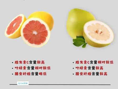 葡萄柚是什么水果 它和普通柚子有什么区别