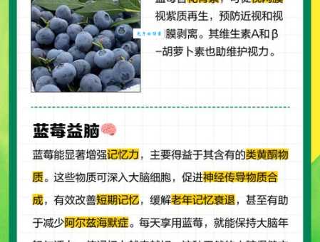 蓝莓的营养价值及功效与作用 常吃蓝莓有哪些好处