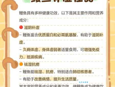 鳗鱼的营养价值揭秘常吃对身体有哪些益处