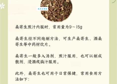 桑寄生真的有用吗 揭秘它的功效与使用禁忌